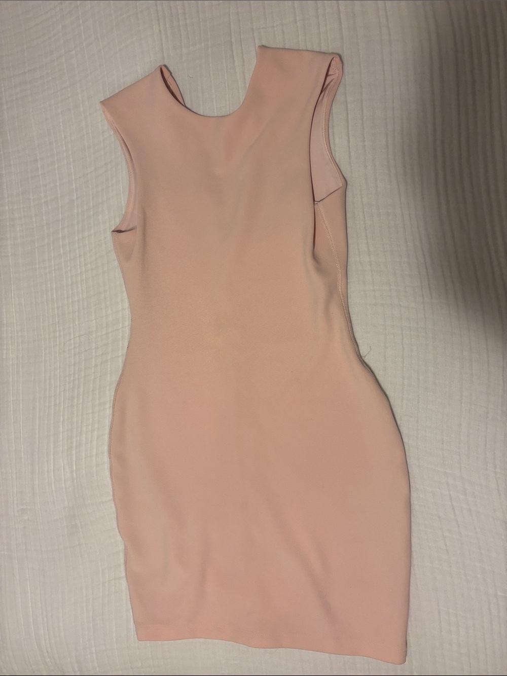 Bec&BridgeSleeveless Blush Bodycon Dress - Women's Fitted Sheath